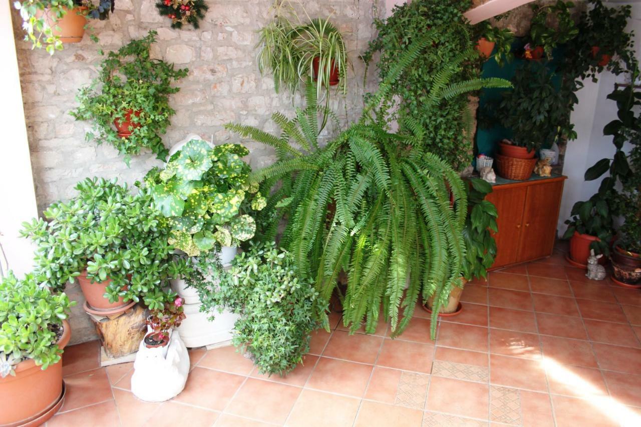 Apartman Nada Sali Exterior foto